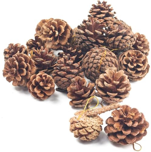 JOHOUSE 18PCS Hanging Natural Pine Cones (1.5–2.5), Rustic Pinecones with Strings for Garland, Christmas Tree Ornaments, Easter Wreath Making, Vase/Bowl Filler Spring Decor