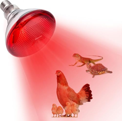 Frogetu Ampoule Infrarouge Chauffante E27, 175W Lampe Chauffante Reptile, Lampe Chauffante Rouge pour Reptiles, Ampoule Infrarouge Chauffante, pour Chiot, Poussin,Tortue, Serpent, Hamster