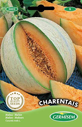 Germisem graines Melon CHARENTAIS