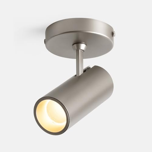 lovuphoria Spotlight Dimmable Ceiling Spot Lights Indoor LED Art Light 12W Accent Lighting for Home Corridor Living Room Bedroom, 3000K CRI97+ Brushed Nickel Finish