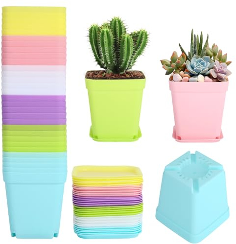 fengxuanwl 30 Stück Anzuchttöpfe, Transparente Pflanztöpfe mit Untersetzer, Ø 7cm Kunststoff Vierkant Mini Töpfe, Anzucht Ackig Klein für Samen, Sukkulenten, Setzlinge (Mehrfarbig)
