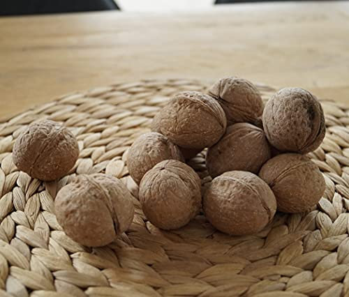 Seifertsdorfer Runde, veredelter Walnussbaum, ca. 100-125cm, im Topf