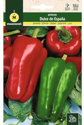 Mascarell Semillas, PIMIENTO, Semillas Huerto, PIMIENTO DULCE DE ESPAÑA, Crea tu Propio Huerto Urbano y Cultivo en Casa, Plantas Hortícolas, 1 Gramos