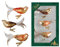 Krebs Glas Lauscha - Weihnachtsdekoration/Christbaumschmuck aus Glas - Vögel auf Clip - Farbe: herbstlich - 3 Stück - Größe: ca. 11 cm