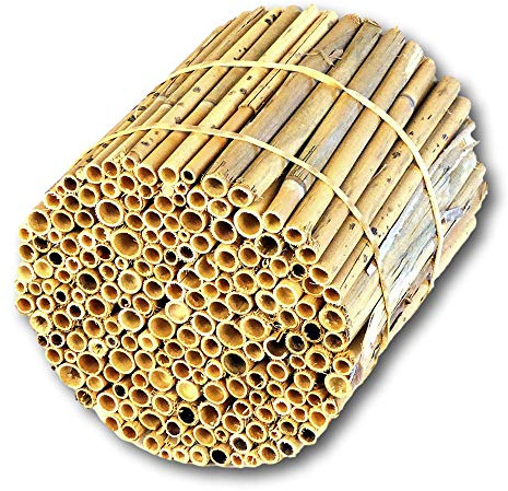 BeeCasa by Hiss Reet® Schilfrohrhalme MEDIUM | Naturbelassener Bund | Insektenhotel & Bienenhotel Füllmaterial | Niströhren & Nisthülsen für Wildbienen