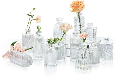 ComSaf Kleine Glasvase Set of 12, kleine vasen für tischdeko, Decorations, Hochzeitsdeko, Recepetion, Home, Vintage-Flasche für Tischdekoration, Transparent