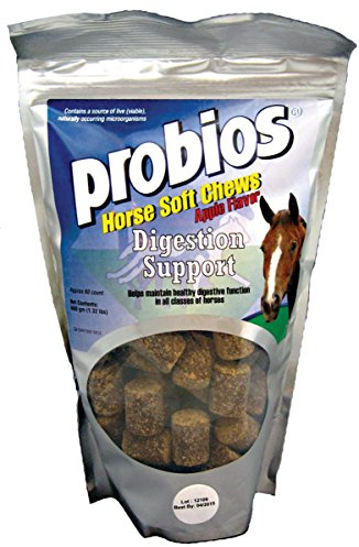 Probios Digestion Support Horse Soft Chews
