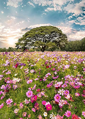 STYLER Glasbild Meadow 50 x 70 cm I Bild Sonne Natur vintage Blumen bunt Wiese lila grün Blumenwiese I Wandbild aus Glas Wohnzimmer Esszimmer Schlafzimmer I Wanddeko Home I groß XXL Poster