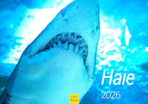 Edition Seidel Calendario premium con tiburones 2026, formato DIN A4, calendario de pared, calendario animal, tiburón, animales marinos, peces depredadores, mar, océano, mundo submarino