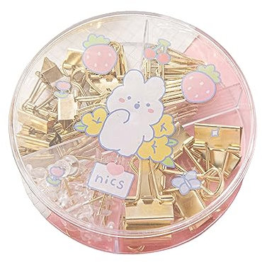 SXRQ Binderklammern, Büroklammern, Pinnnadel-Set mit Box, multifunktional, für Schreibtisch, Büro, Schule, Zuhause, 65 Stück