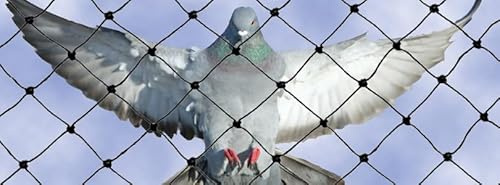 Filet anti-pigeons et oiseaux moyens | Filet anti-oiseaux de 10 x 10 m | 100 m² | Carré de 5 cm | Couleur pierre | Découpable | Résistant | Invisible | Durée de vie 10 ans