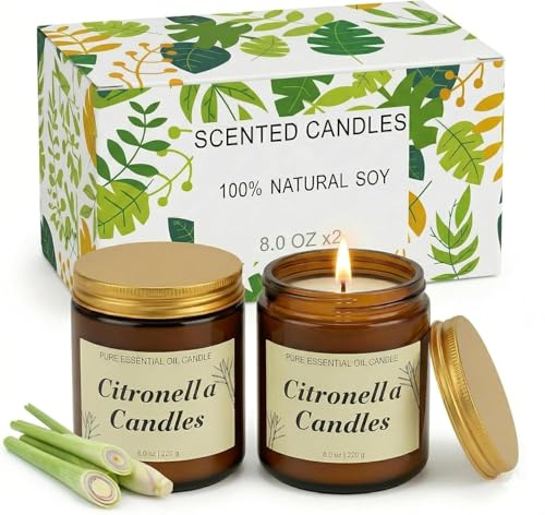 Set di 2 candele profumate alla citronella per esterni, in cera di soia da 226 ml, 160-200 ore di durata totale, candele profumate alla citronella, per giardino, balcone e campeggio, regalo estivo per