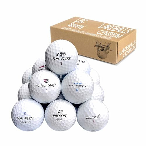lbc-sports | Palline da Golf Recuperate | 100 PZ | Combinazione di Lakeballs | Marche Miste | Qualità AAAA/AAA | Ottima Qualitá