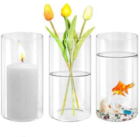 MININUSI 3 Stück Tischvase, 10cm* 20cm Vase Glas, Blumen Glas Vasen, Modern Glasvase Durchsichtig Blumenvase, Klarglas Glaszylinder mit Boden, Zylinder Glaszylinder für Hochzeit Tischdeko Deko