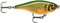Rapala Unisex-Adult X-Rap Twitchin’ Shad Angelköder-Angelzubehör mit durchscheinendem Körper-Salzwasser Spinnköder-Lauftiefe 0.3-0.6m-Fischköder 8cm, 13g-Hergestellt in Estland-Scaled Roach, Standard