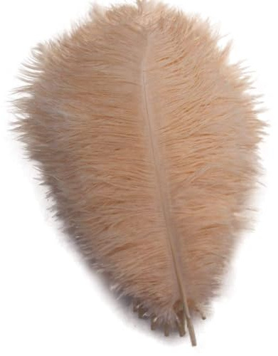 Shekyeon 10–12 tum 25–30 cm strutsfjäder heminredning gör-det-själv hantverk paket med 10 (champagne)