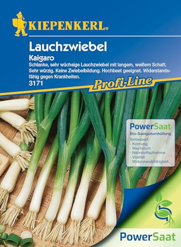 Kiepenkerl Profi-Line Lauchzwiebelsamen Kaigaro, PowerSaat – Widerstandsfähige Zwiebelsamen mit Mildem Aroma – Lauchzwiebeln Samen für Leckeren Genuss - 1 Portion Samenliebe - Sämereien