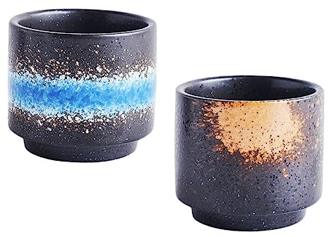 LOLIPPYY 2 pezzi Tazze da Tè in Ceramica Stile Giapponese Retro Bicchieri per Infusione Design Unico e Resistente Adatti per Casa Ristorante e Bar Colore Casuale Colore Casuale