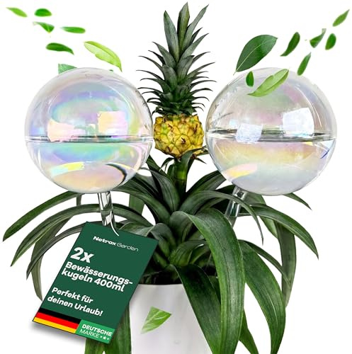 Netrox Set di 2 sfere di irrigazione in vetro, 2 x 400 ml, irrigazione automatica per piante, fiori e giardino, ideale in vacanza, sistema di irrigazione, vaso, dispenser d'acqua
