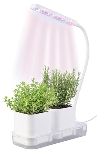 PEARL Mini serre : mini station de culture et de propagation, 2 pots, LED de croissance et réservoir d'eau (boîte de croissance, mini station de propagation, distributeur d'eau)