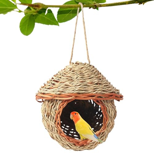 Maisons pour oiseaux d'extérieur, décoration de jardin extérieur, cabanes à oiseaux, maisons à colibri à placer à l'extérieur, pour moineau perruche frissonne canari