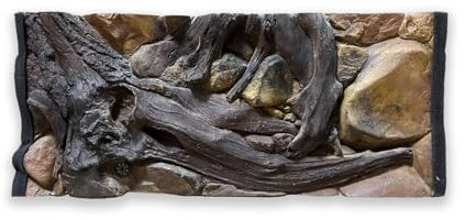 ZooPaul Aquarium Rückwand 3D 100x40cm 100x50cm 100x60cm Terrarium Hintergrund Fels Stein Wurzel Struktur Amazonas NEU