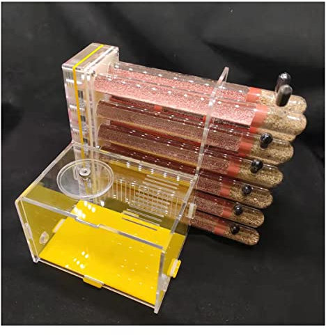 12 Reagenzgläser Ameisenfarm Transparentes Acryl Ameisennest Fütterungshaus Formicarium Ameisen Farmen Set Futterbox Werkstatt Beobachten Sie Lebende Ameisen Für Ameisen Insekten Züchten ( Color : 18m