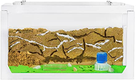 AntHouse - Fourmilière Naturelle en Sable | Kit Commencement 3D 20x10x10 cm Blanc | Fourmis Incluses