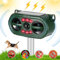 Katzenschreck für Garten, Ultraschall Tiervertreiber Katzenabwehr, Solar Katzenschreck mit PIR Sensor & Blitz 5 Einstellmodi, IP54 Wasserdicht Katzenabwehr Wirksam für Katzen, Hunde, Füchse, Vögel-3