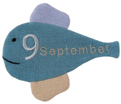 Jouet pour nouveau-né mensuel lettre jalons Carte de photographie de bébé Accessoires pour premier anniversaire et 100 jours de fête Accessoires de photographie de bébé