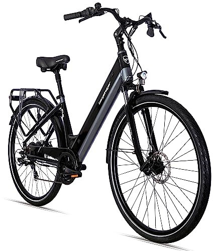 Bergsteiger Hampton 28 Zoll City E-Bike mit 250 Watt Motor, Scheibenbremsen, Aluminium Ebike für Damen & Herren, Farbdisplay, Elektrofahrrad mit Shimano 6 Gang-Schaltung