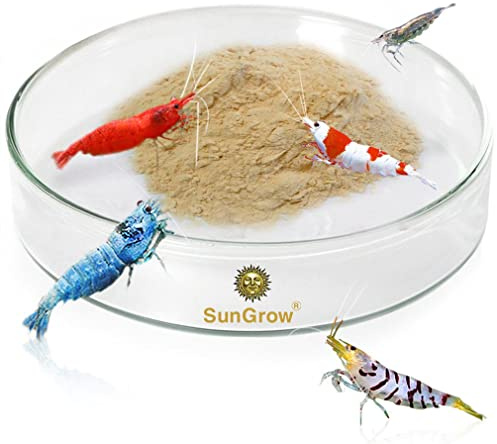 SunGrow Piatto di alimentazione per gamberetti in vetro borosilicato resistente, largo 2,5 pollici e profondo 0,5 pollici, bacinella trasparente per cibo per gamberetti