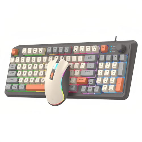 Lancoon Combo de Teclado y Ratón con Cable 94 Teclas Control de Volumen Luz Colores Ratones Ergonómicos Botones Laterales dpi Ajustables para PC Ordenador Portátil Tableta Oficina (Gris)