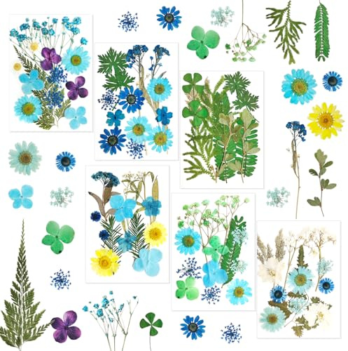 72 stycken pressade torkade blommor Naturliga torkade blommor Harts-kompatibla torkade blommor Lämpliga för DIY-ljus, mobilskal, fotoramar och tvåltillverkning