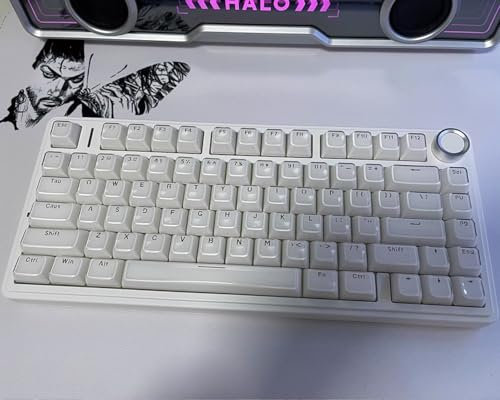 mintcaps 135Keys White Crystal Jelly Translucent MDA Profile Keycap, Custom Shine Through Keyboards Keycaps for 60%65%75%80%95%100% Cherry Gateron MX Switches Mechanical