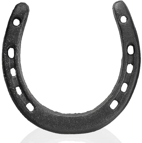 Ferro di cavallo in ghisa nera decorazione da parete ferro di cavallo in metallo regalo di nozze ornamenti da appendere ornamenti rustici occidentali Feng Shui portafortuna per interni ed esterni