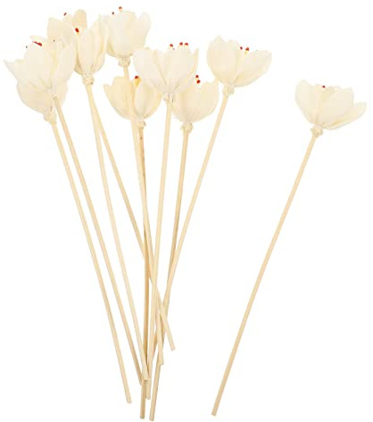 Hemobllo 10 Piezas Varillas Aromáticas para Flores para Aromas para Hogar Oficina y SPA Accesorios Decorativos para Aceites Esenciales