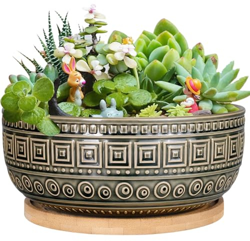 G EPGardening Vaso per piante grasse in ceramica, 20,5 cm, per piante d'appartamento, rotondo, poco profondo, bonsai, con drenaggio e piattino in bambù, colore: blu