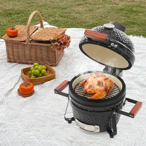 Barbecue a carbonella, per esterni, in ceramica, con piastra in acciaio inox e termometro integrato, per piccole grigliate, picnic, barbecue, campeggio