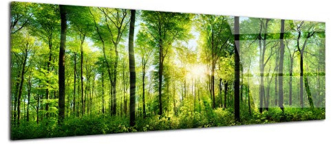 DECLINA, Designtavla, akrylglas, väggdekoration, fotogrön skog, väggtavla, HD-tryck, heminredning, natur, konstnärlig ram