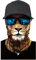 Writtian Multifunktionstuch Herren Damen Atmungsaktiv Schnelltrocknend Wind Motorrad Gesicht Mundschutz Lustig Skull Chopper Mund-Tuch Halsschlauch Halstuch mit Motiv