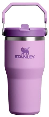 Stanley IceFlow 2.0 Flip Straw Tumbler with Handle 20 oz | Twist On Lid and Flip Up Straw | Leakproof Water Bottle | Insulated Stainless Steel | BPA-Free | Lilac
