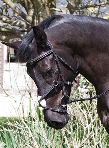 Rhinegold Elegance Stitched Mexican Bridle-Full-Black