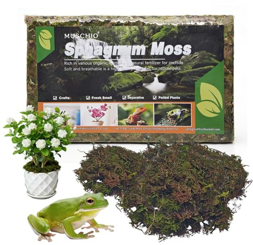 150g Sphagnum Moos für Pflanzen,Torfmoos Blumenerde Zimmerpflanzen