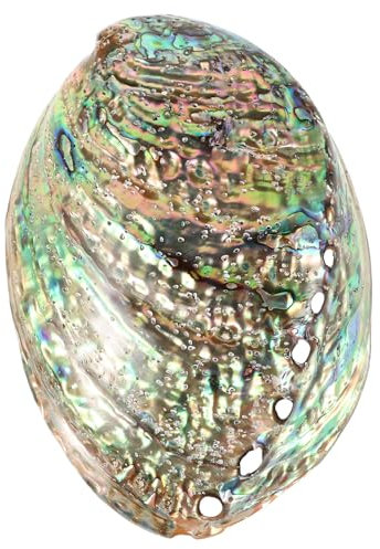 BESPORTBLE 10-12Cm Große Abalone-Schale Weihrauchbrenner Tablett Schmuck Aufbewahrungsschale Tisch Dekorative Verzierung für Home-Office-