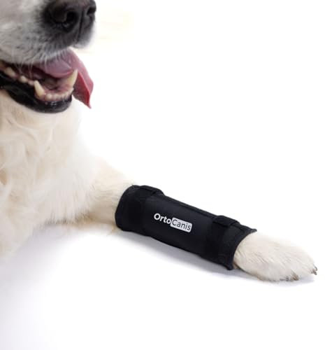 Ortocanis - Karpal-Bandage für Hund - Karpalstütze mit Immobilisierungsschienen bei Instabilität, Arthrose oder Hyperextension - Stabilisiert und lindert Schmerzen - Größe XXL 15-19 cm