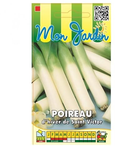 Sachet de graines de Poireau d'hiver St Victor - 3 g - légume bulbe - LES GRAINES BOCQUET