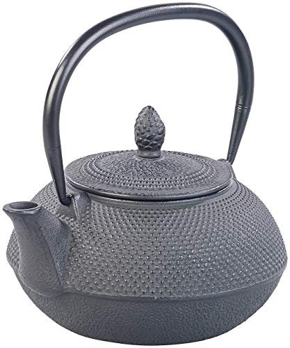 Rosenstein & Söhne Teekessel: Asiatische Teekanne aus Gusseisen mit Edelstahl-Sieb, 0,9 l, schwarz (Teekanne Guss, Chinesische Gusseisen, Wasserkocher)