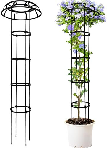 TIKTALK 165cm Umbrella Trellis, Wisteria Umbrella Support Frame, Rustproof Trellis for Climbing Plants Outdoor, Adjustable Heights plant trellis for Potted Plants, wisteria, cucumber, clematis, rose