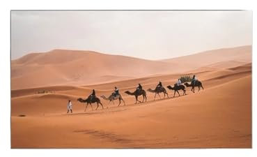 QIUYMGFG Projection Screens Ambient Light Rejecting ALR PET Crystal Frame Projection Screen 30- 120 For Ultra Short Throw UST Projector smart home(30 inch)